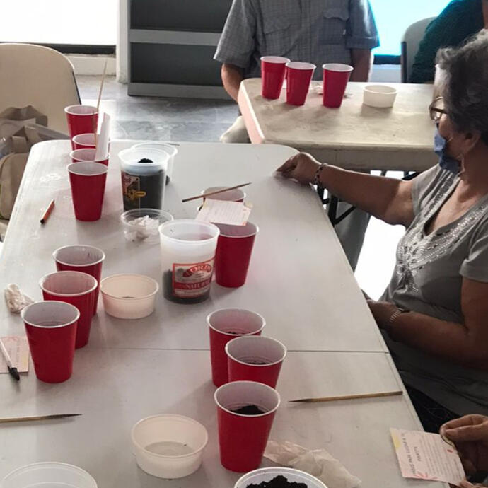 Taller: Jardinería y Yo